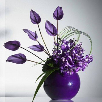 Purple