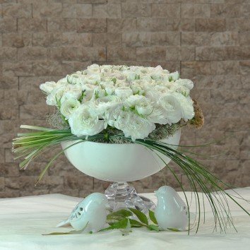 Rose White