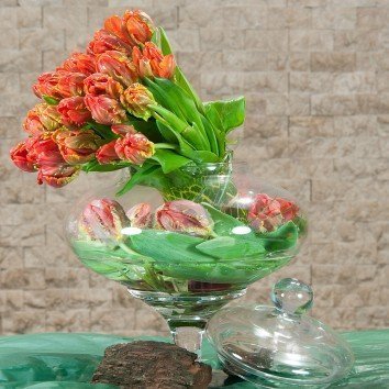 Tulip