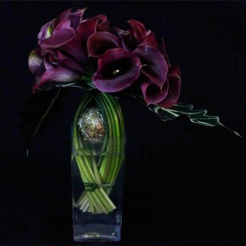 Gala